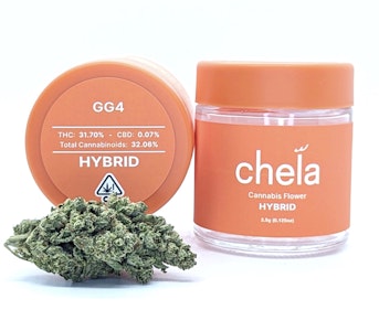 Chela Light - GG4 | 3.5g Jar | Chela Light