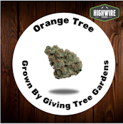 Orange Tree OZ