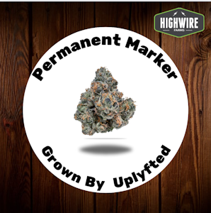 UPLYFTED CANNABIS - Permanent Marker OZ