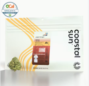 COASTAL SUN - Papa Burger - 28g (H) - Coastal Sun