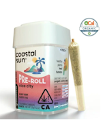 10pk - Vice City - 3.5g (IH) - Coastal Sun