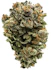 Product Preview Image 1