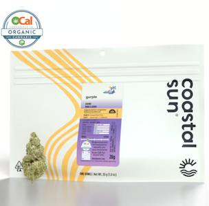 COASTAL SUN - Gurple - 28g (I) - Coastal Sun
