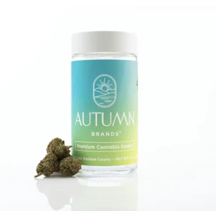 Autumn - Illemonati | 14g Smalls Jar | Autumn