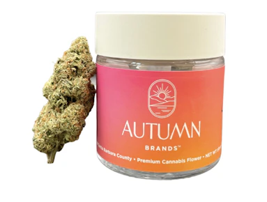 Mule Fuel | 3.5g | Autumn