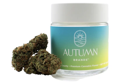 Blue Dream | 3.5g | Autumn