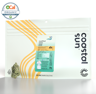 COASTAL SUN - Modified Mints - 28g (H) - Coastal Sun