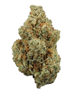 UpNorth - Tequila Sunrise - 3.5g (SH) - UpNorth