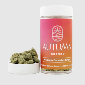 G-Runtz | 14g Smalls Jar | Autumn