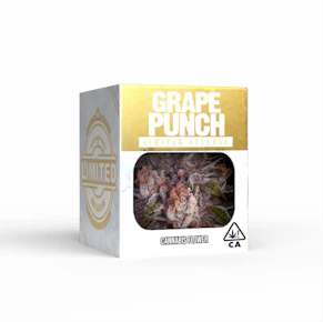 Grape Punch | 3.5g | Decibel Gardens