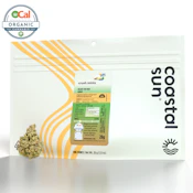 Crush Mints - 28g (I) - Coastal Sun