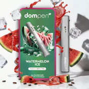 DOMPEN 1G AIO Watermelon Ice Disposable