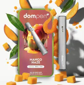 DOMPEN 1G AIO Mango Haze Disposable