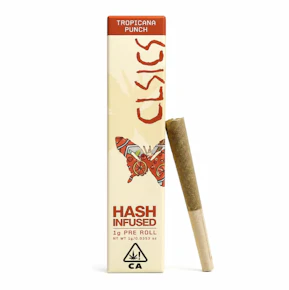 Tropicana Punch | 1g Hash Preroll | CLSICS
