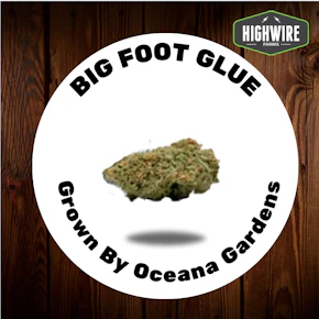 Bigfoot Glue OZ