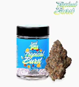 Tropical Burst - 7g (S) - Seed Junky
