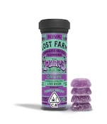 Grape (Live Resin Infused) Gummies - 100mg (H) - Lost Farms