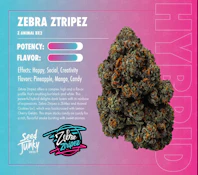 Zebra Ztripez - 3.5g (H) - Seed Junky