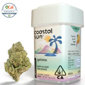 Gelato - 3.5g (H) - Coastal Sun