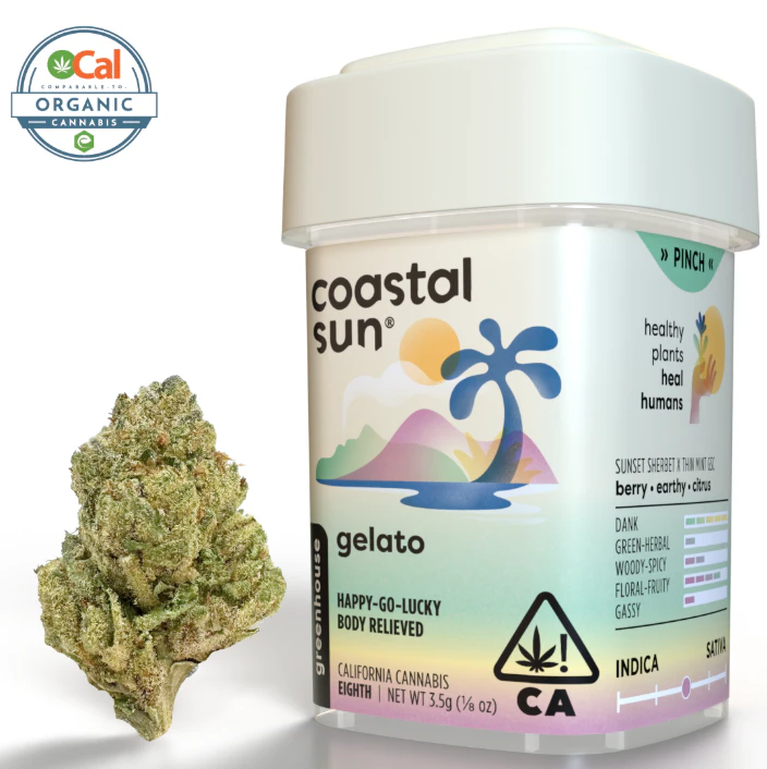 Coastal Sun - Gelato - 3.5g (H) - Coastal Sun Main Image