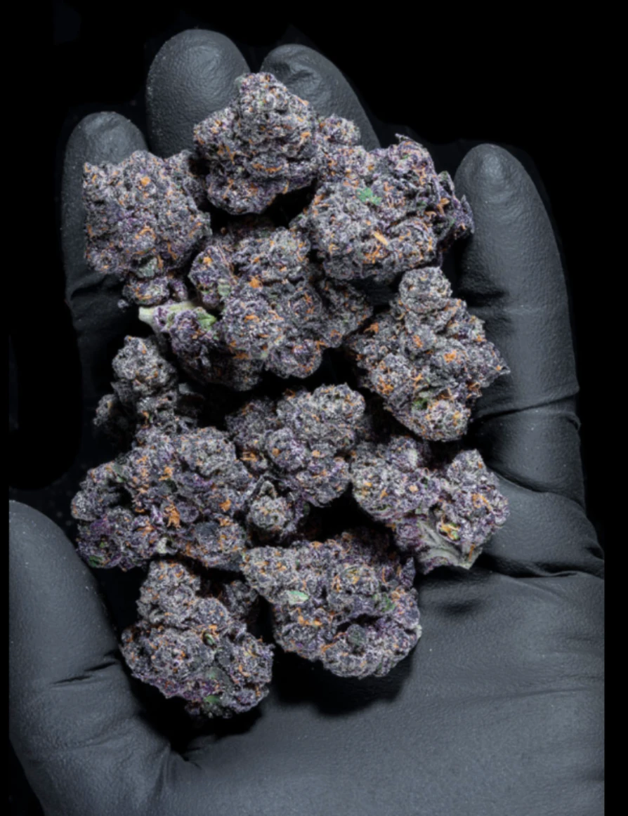 Boutiq - Freeze Cake (I) | 3.5g Bag | BOUTIQ Main Image