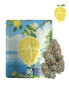 Seed Junky | 1g | Lemon Fruz | Sativa