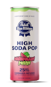 PABST | PBR Infused High Seltzer Watermelon Melon 25mg can