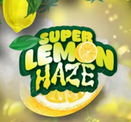 Mota Flwr 7g Super Lemon Haze