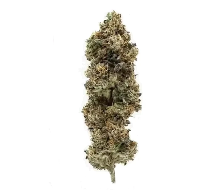 BLEM - BLEM 3.5g Marker Indica Main Image