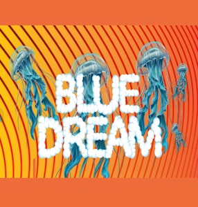 MOTA - Mota Flwr Tin Pack Blue Dream 