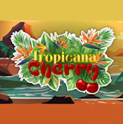 Mota Flwr 7g Tropicana Cherry