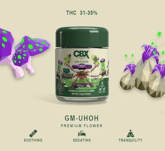 CANNABIOTIX - CBX 8th GM-UhOh Hybrid