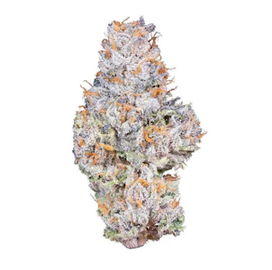 Connected Cannabis Co. - Connected 8th Gelato 41 Indica Hybrid