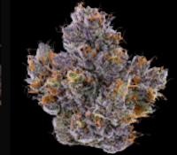 Fig Farms Rapper Weed