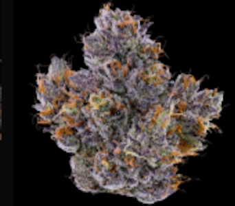 FIG FARMS - Fig Farms Rapper Weed