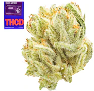 THC Design - Flower - Blue Viper - 3.5g