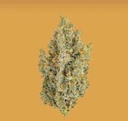 Heirbloom 8th Green Crack Sativa