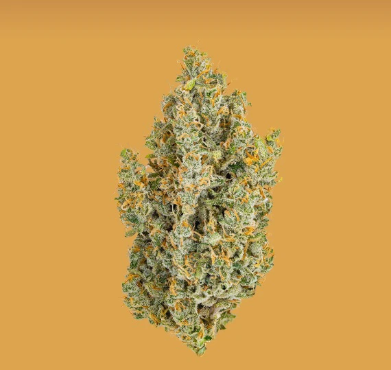 HEIRBLOOM - Heirbloom 8th Green Crack Sativa Main Image