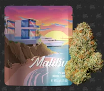 Seed Junky - Flower - Malibu - 3.5g