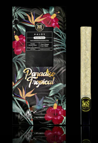 Marijuana Maven - Maven - Preroll - Infused - 5pk - Paradiso Tropical Main Image