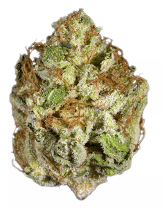 SFVOG - SFVOG/ Flan/3.5g/(I)