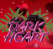 Mota Flwr Tin Pack Dark Heart