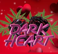 Mota Flwr 8th Dark Heart