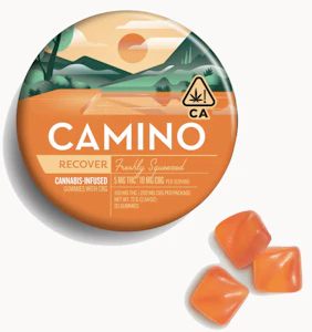 CAMINO - Freshly Squeezed - Recover - 5:10 THC/CBG - 20pk - 300mg