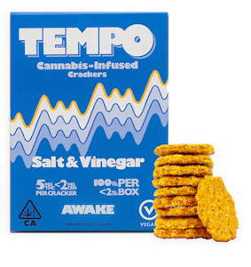 Tempo Crackers - Tempo - Salt & Vinegar - 100mg Vegan 20pk Crackers