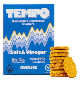 TEMPO - Tempo - Salt & Vinegar - 100mg Vegan 20pk Crackers