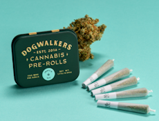 [REC] Dogwalkers | Banana Cream | 1.75g/5pk Preroll