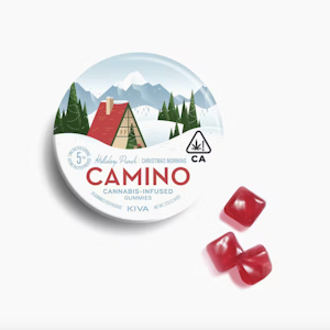 Camino - Holiday Punch | 100mg Gummies | Camino