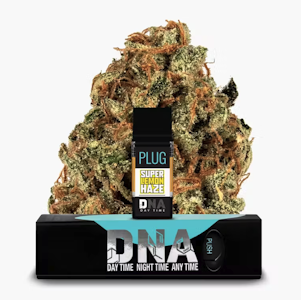 PLUGPLAY - PLUGPLAY 1G Super Lemon Haze Pod