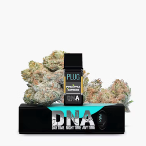 PLUGPLAY - PLUGplay 1G Pineapple Express Pod